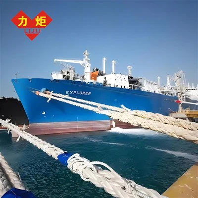 Fune metallica di ormeggio